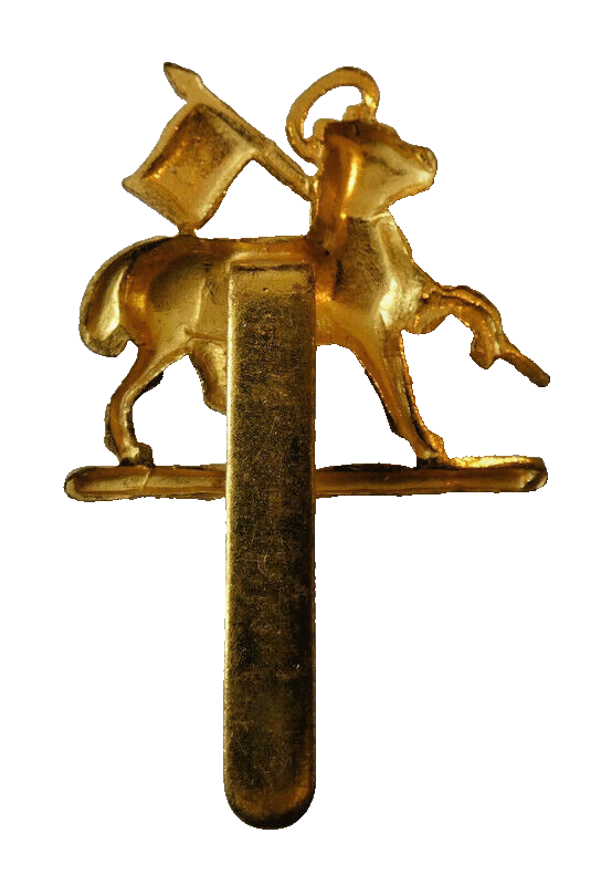 The Queen's Royal West Surrey Regiment British Army Cap Badge