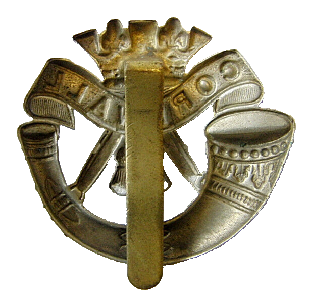 Duke of Cornwall Light Infantry DCLI Regiment British Army Cap Badge 45 x 45 mm