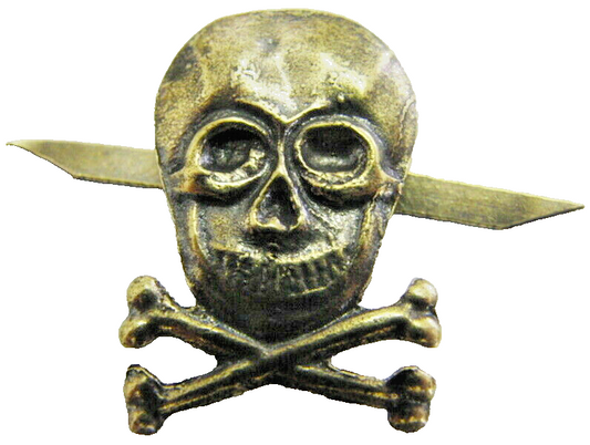 Skull and Bones Lapel Pin Badge Brass 2x3 cm New