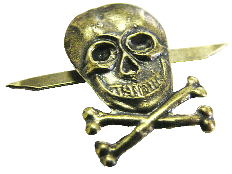 Skull and Bones Lapel Pin Badge Brass 2x3 cm New