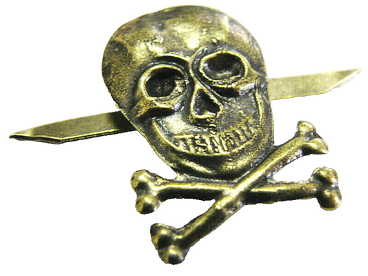 Skull and Bones Lapel Pin Badge Brass 2x3 cm New