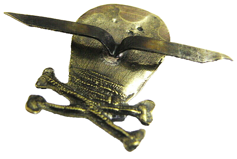 Skull and Bones Lapel Pin Badge Brass 2x3 cm New
