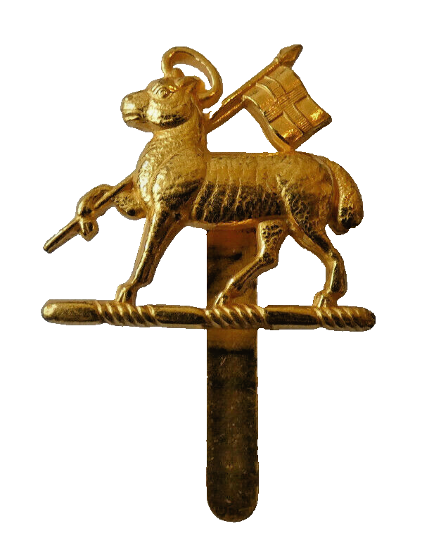 The Queen's Royal West Surrey Regiment British Army Cap Badge