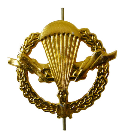 Russian Military & Ministerial Lapel Badges VDV VKS MVD Police Border MChS