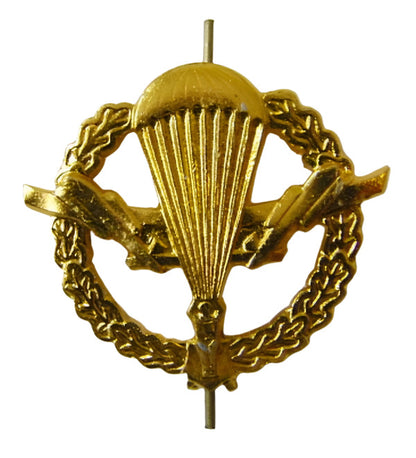 Russian Military & Ministerial Lapel Badges VDV VKS MVD Police Border MChS